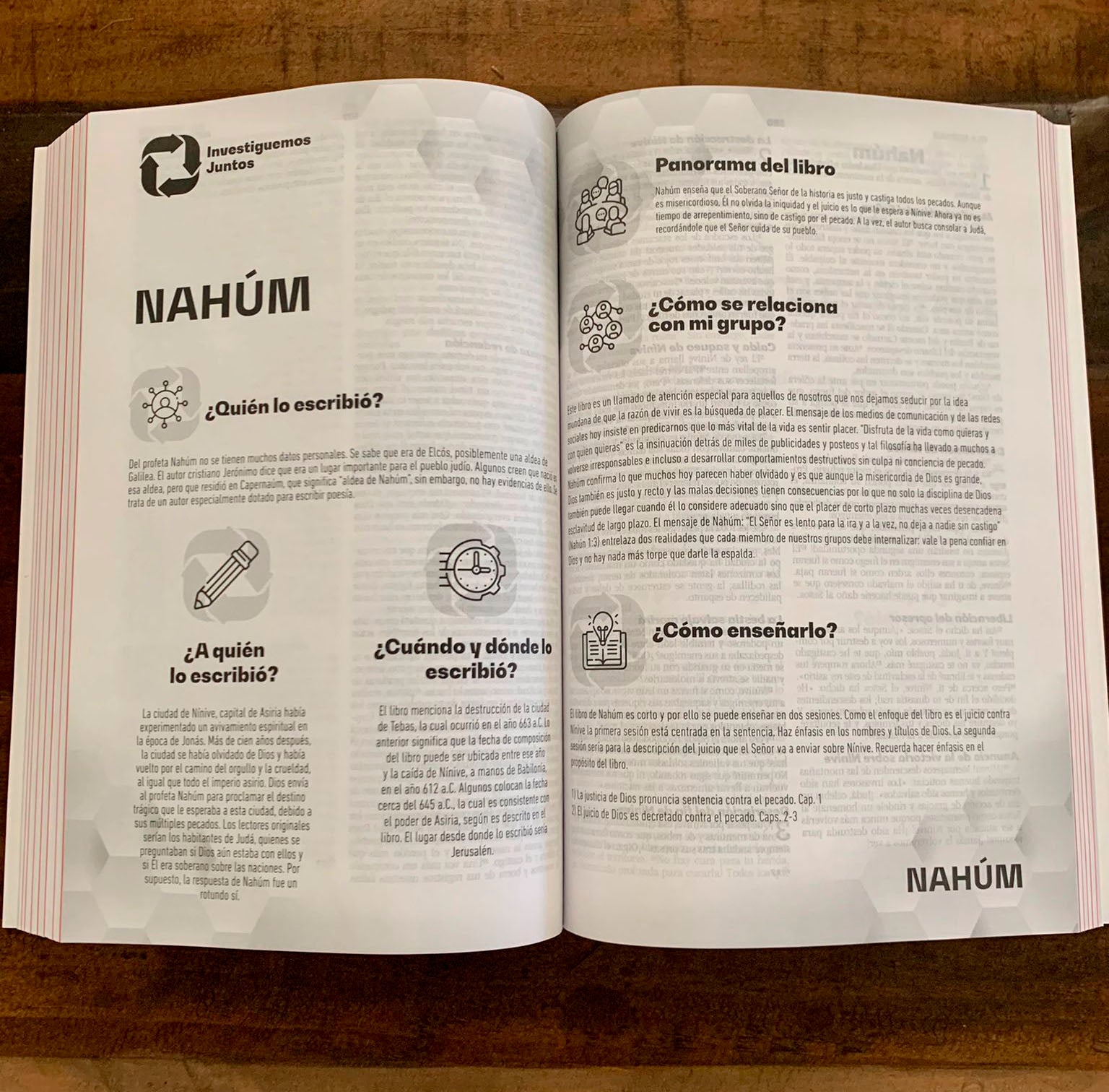 Biblia NBV Grupos pequeños - Librería Libros Cristianos - Biblia