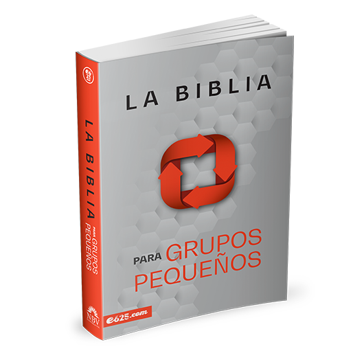 Biblia NBV Grupos pequeños - Librería Libros Cristianos - Biblia