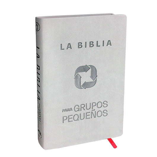 Biblia NBV Grupos pequeños gris/rojo SP - Librería Libros Cristianos - Biblia