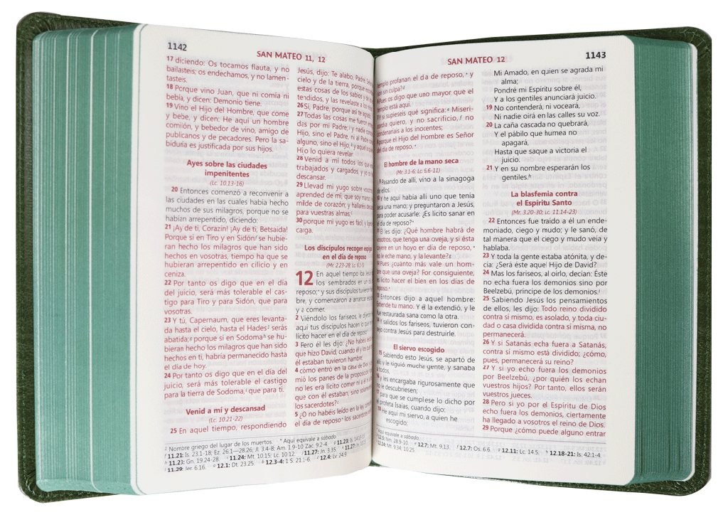 Biblia RVR60 Verde con león - Librería Libros Cristianos - Biblia