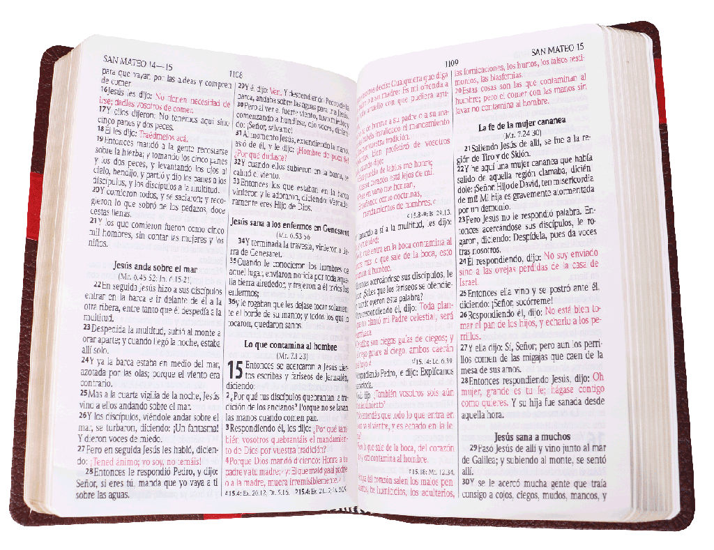 Biblia RVR60 mediana imitación piel letra grande marrón/rojo - Librería Libros Cristianos - Biblia