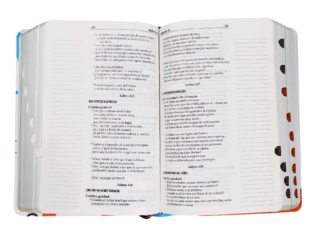 Biblia RVC Servidores colores - Librería Libros Cristianos - Biblia