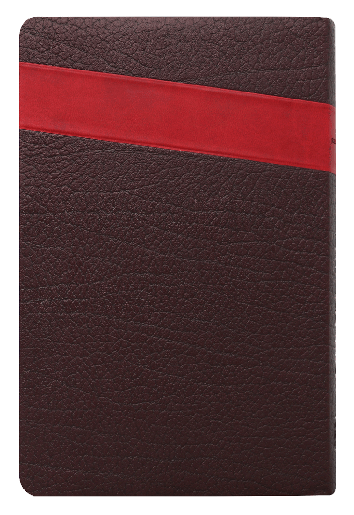 Biblia RVR60 mediana imitación piel letra grande marrón/rojo - Librería Libros Cristianos - Biblia