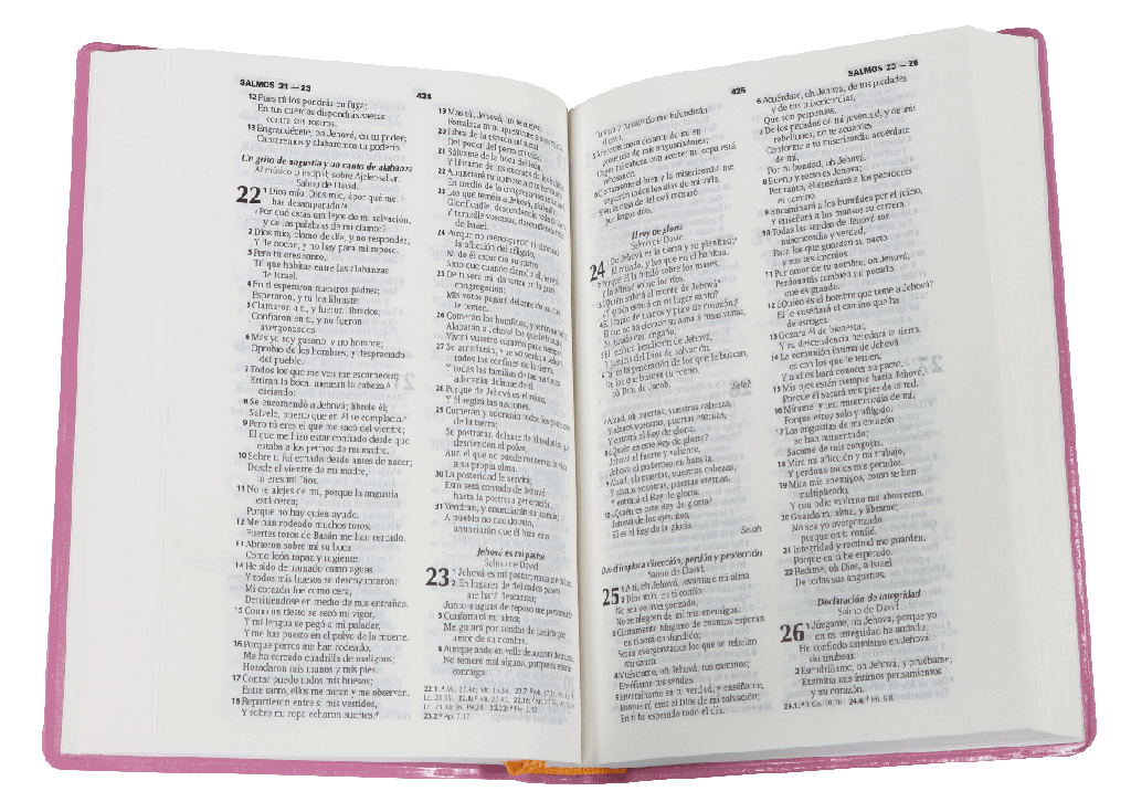 Biblia Chica Vinil Rosa RVR60 - Librería Libros Cristianos - Biblia