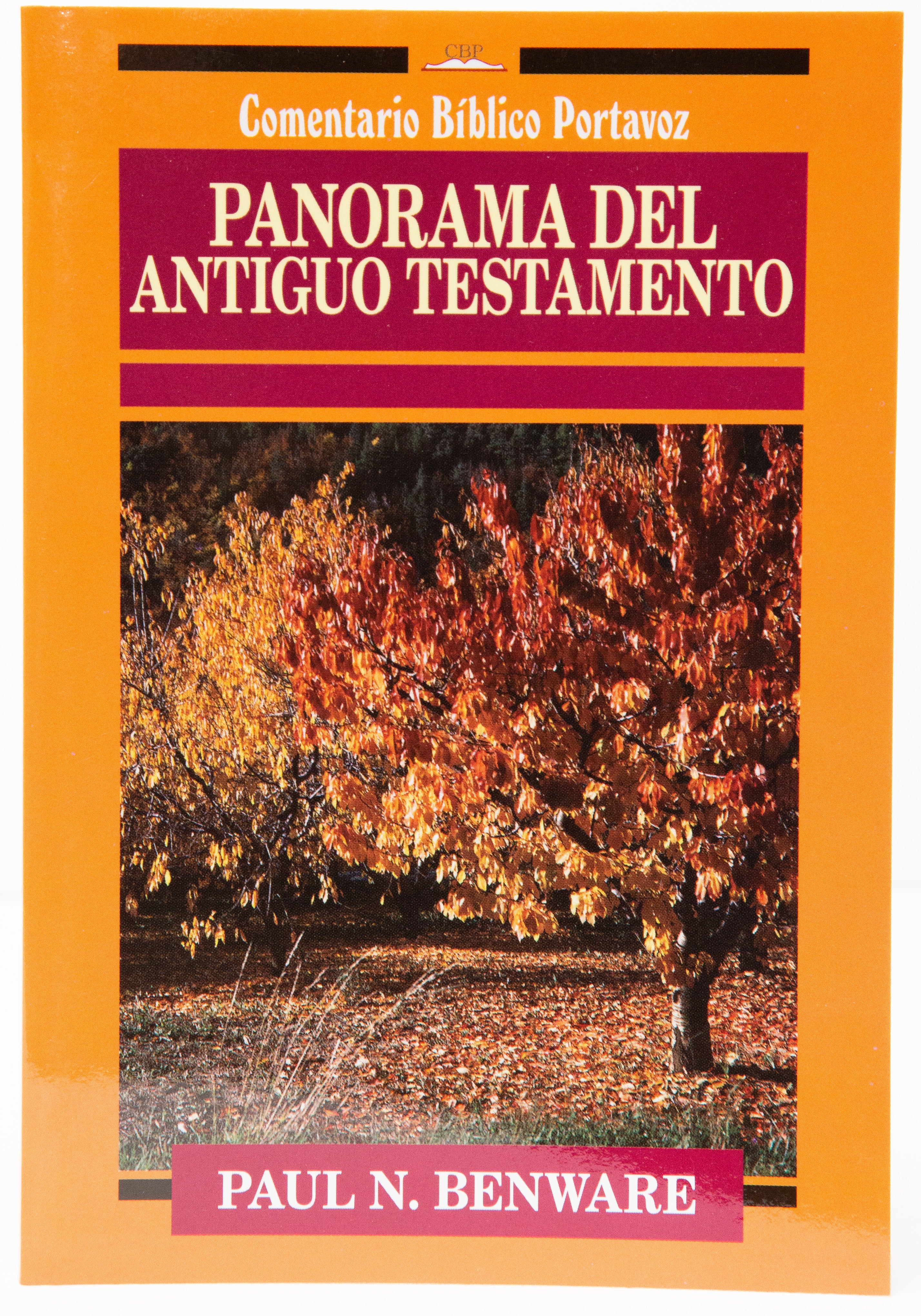 Panorama del Antiguo Testamento - Rustico - Librería Libros Cristianos - Libro