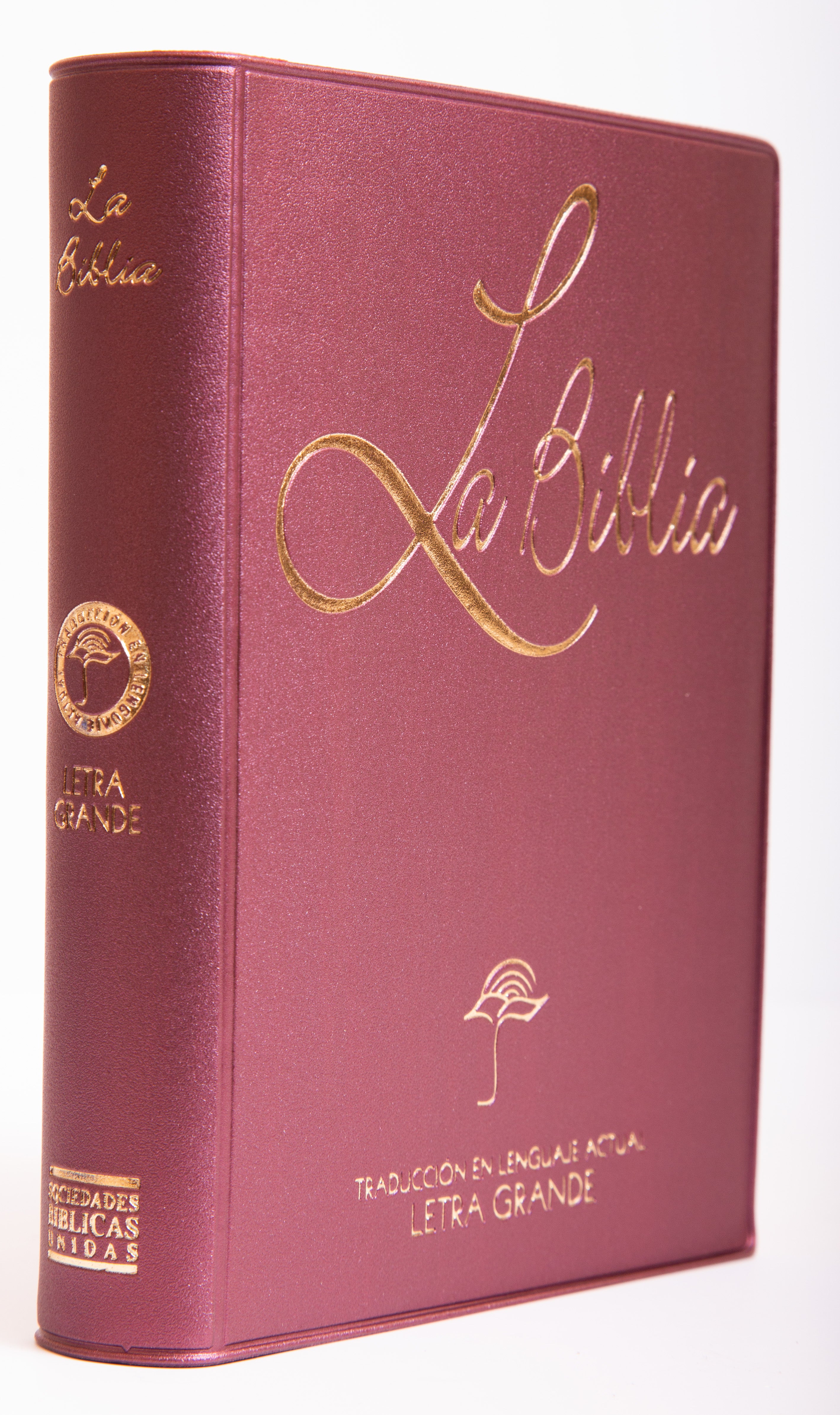 Biblia Chica Letra Grande Vinil Vino - Librería Libros Cristianos - Biblia