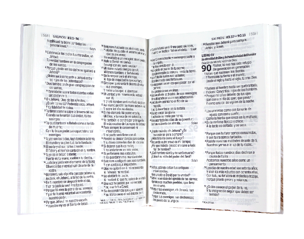 Biblia RVR60 letra grande tapa dura - Librería Libros Cristianos - Biblia