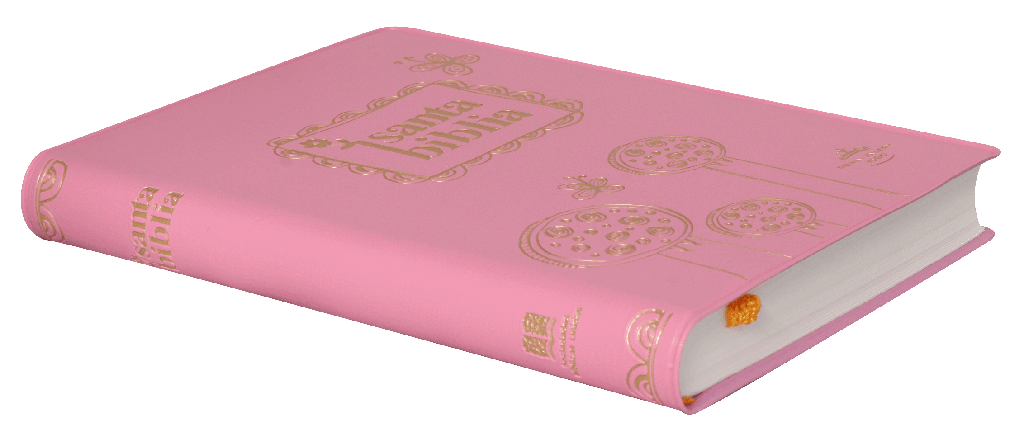 Biblia Chica Vinil Rosa RVR60 - Librería Libros Cristianos - Biblia