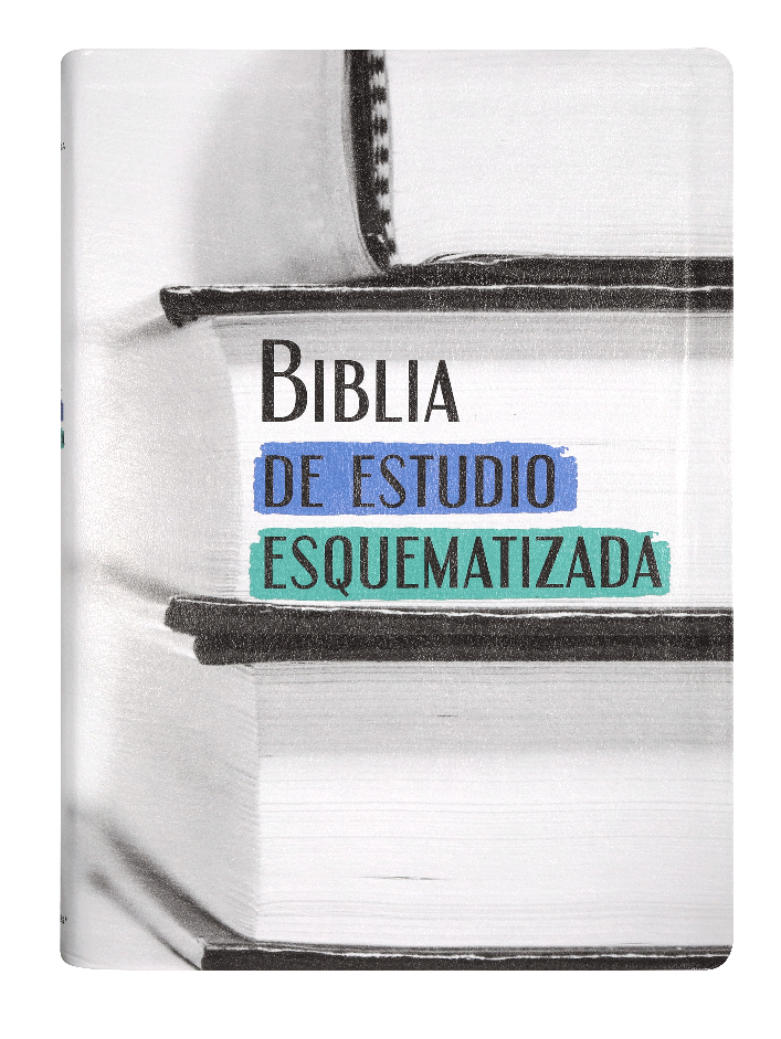 Biblia RVR60 Esquematizada imitación piel - Librería Libros Cristianos - Biblia