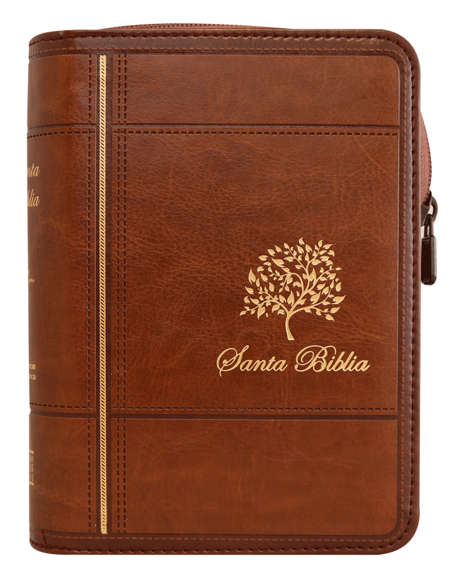 Biblia RVR60 bolsillo imt cafe - Librería Libros Cristianos - Biblia