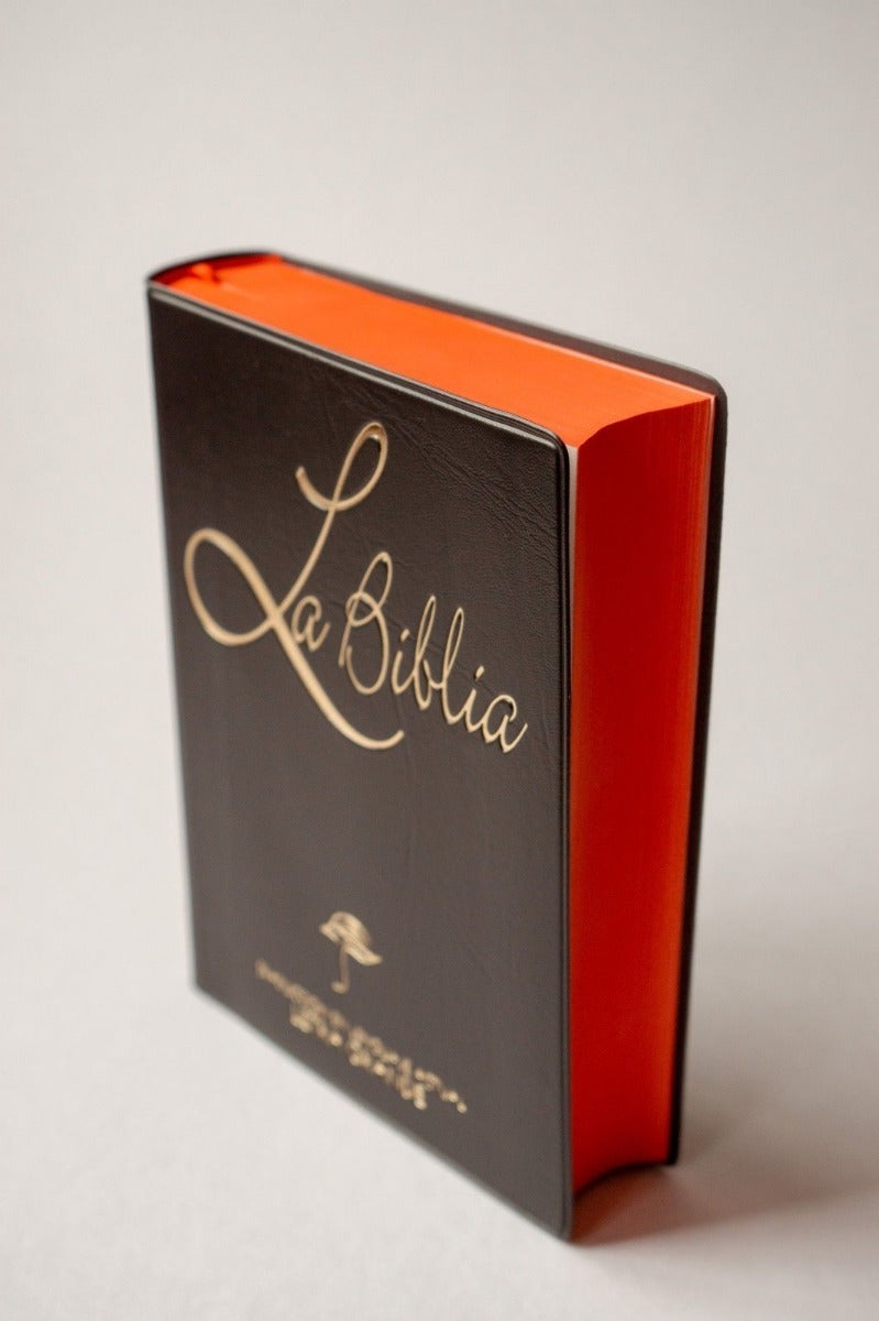 Biblia Chica Letra Grande Vinil Negro TLA - Librería Libros Cristianos - Biblia