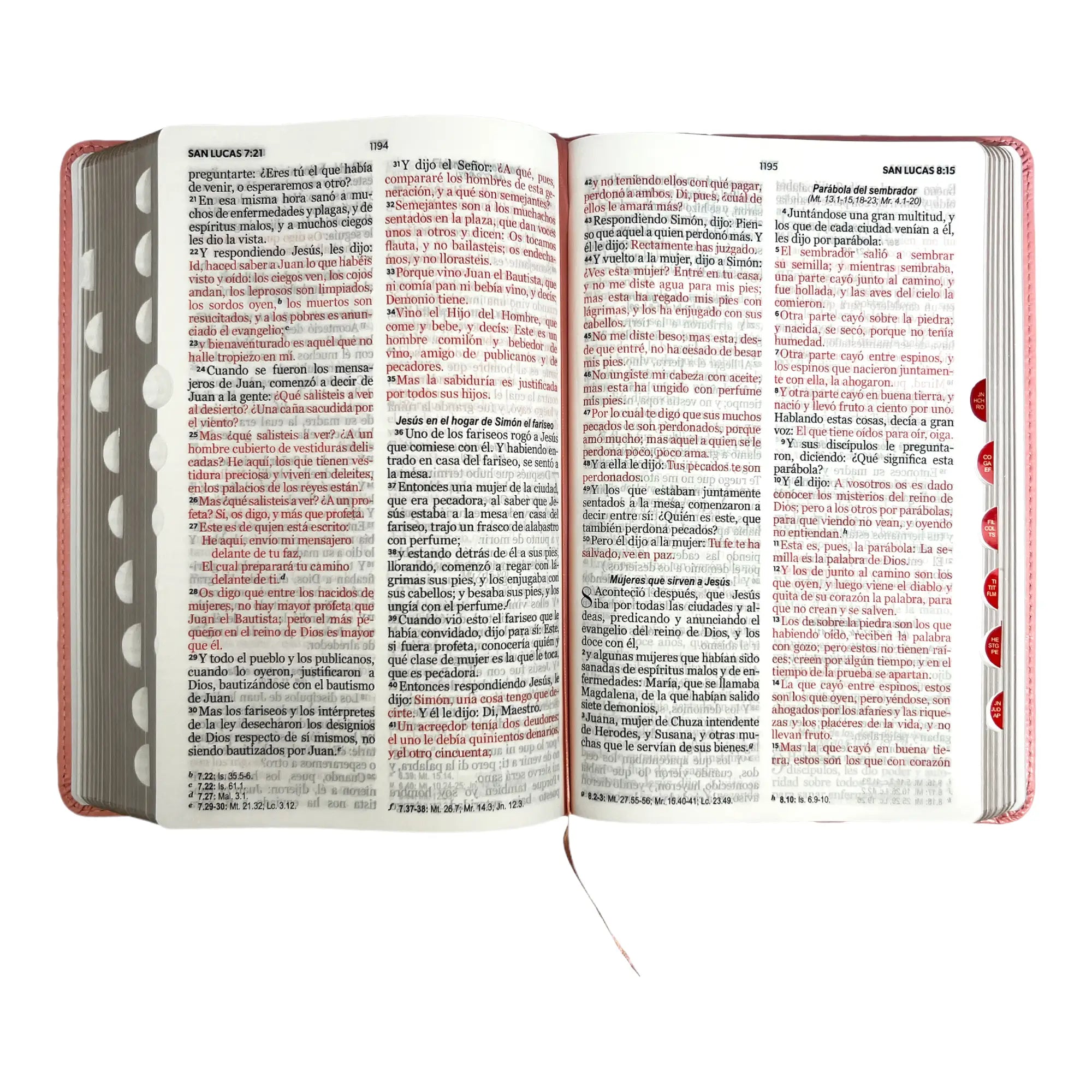 Biblia RVR60 Clásica rosa