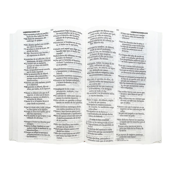 Biblia RVR60 Eco Flex Blanco amarillo