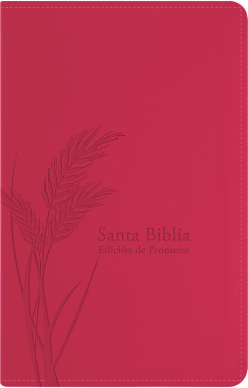 Biblia RVR60 promesas, edición fiusha, cierre - Librería Libros Cristianos - Biblia