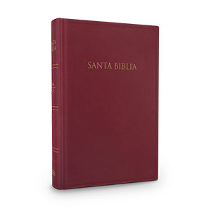 Biblia RVR1960 Regalos y premios borgoña