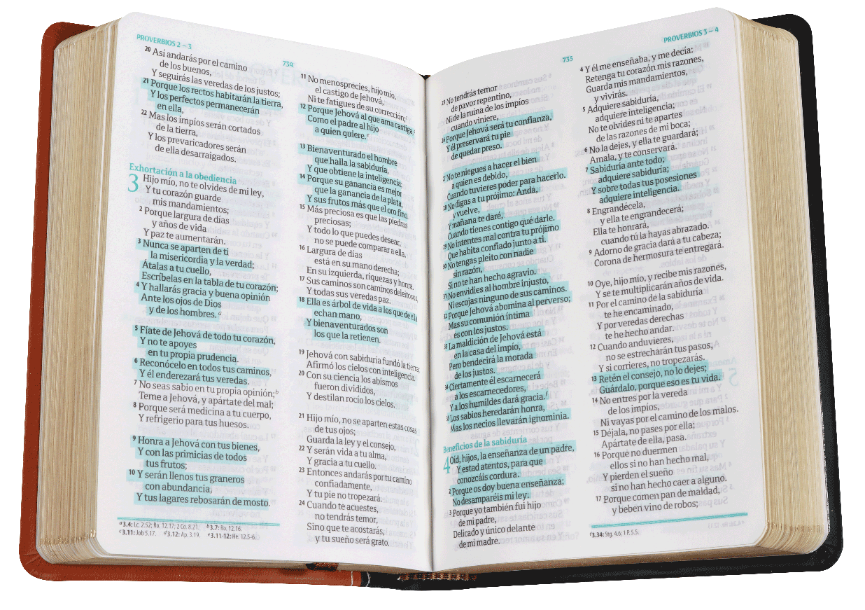 Biblia Chica Imitación Marron Negro RVR60 - Librería Libros Cristianos - Biblia