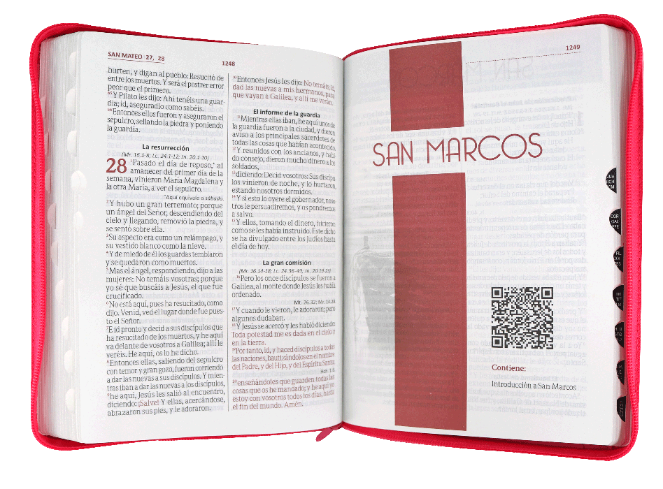 Biblia RVR60 letra gigante fucsia rosa paloma indice cierre - Librería Libros Cristianos - Biblia