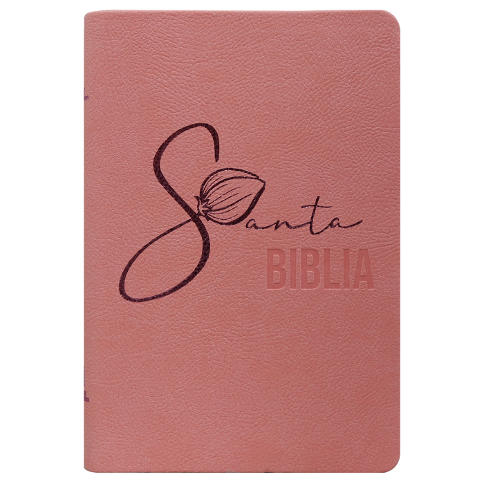 Biblia RVR60 Mediana Letra Mediana Rosado