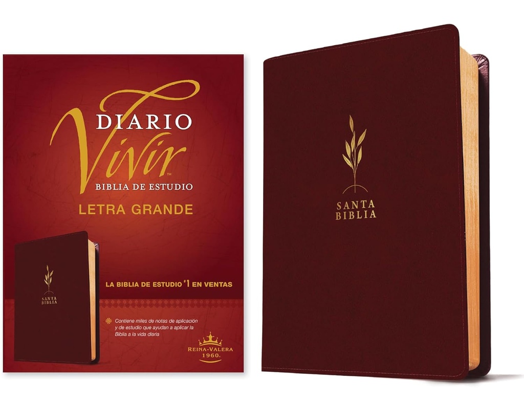 Biblia RVR60 Estudio del diario vivir vino tinto