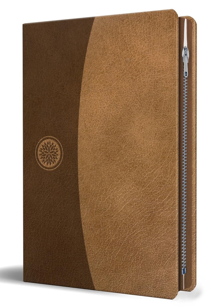 Biblia RVR60 letra grande marrón