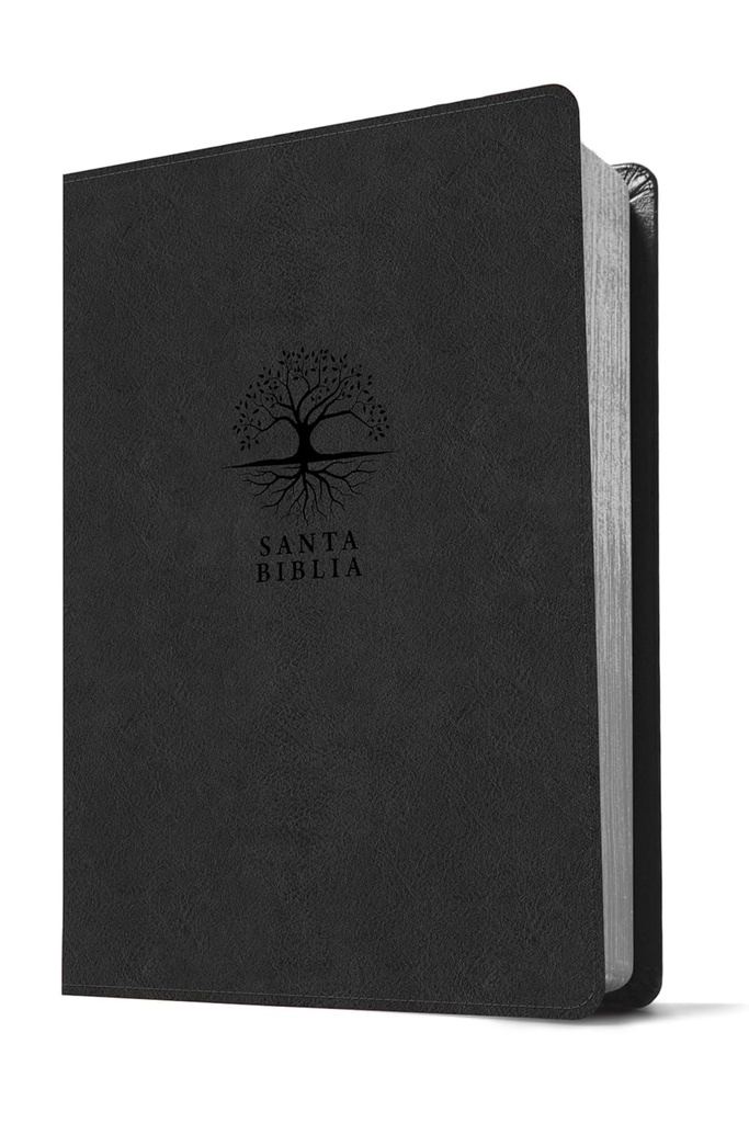 Biblia RVR60 Estudio del Diario Vivir carbon