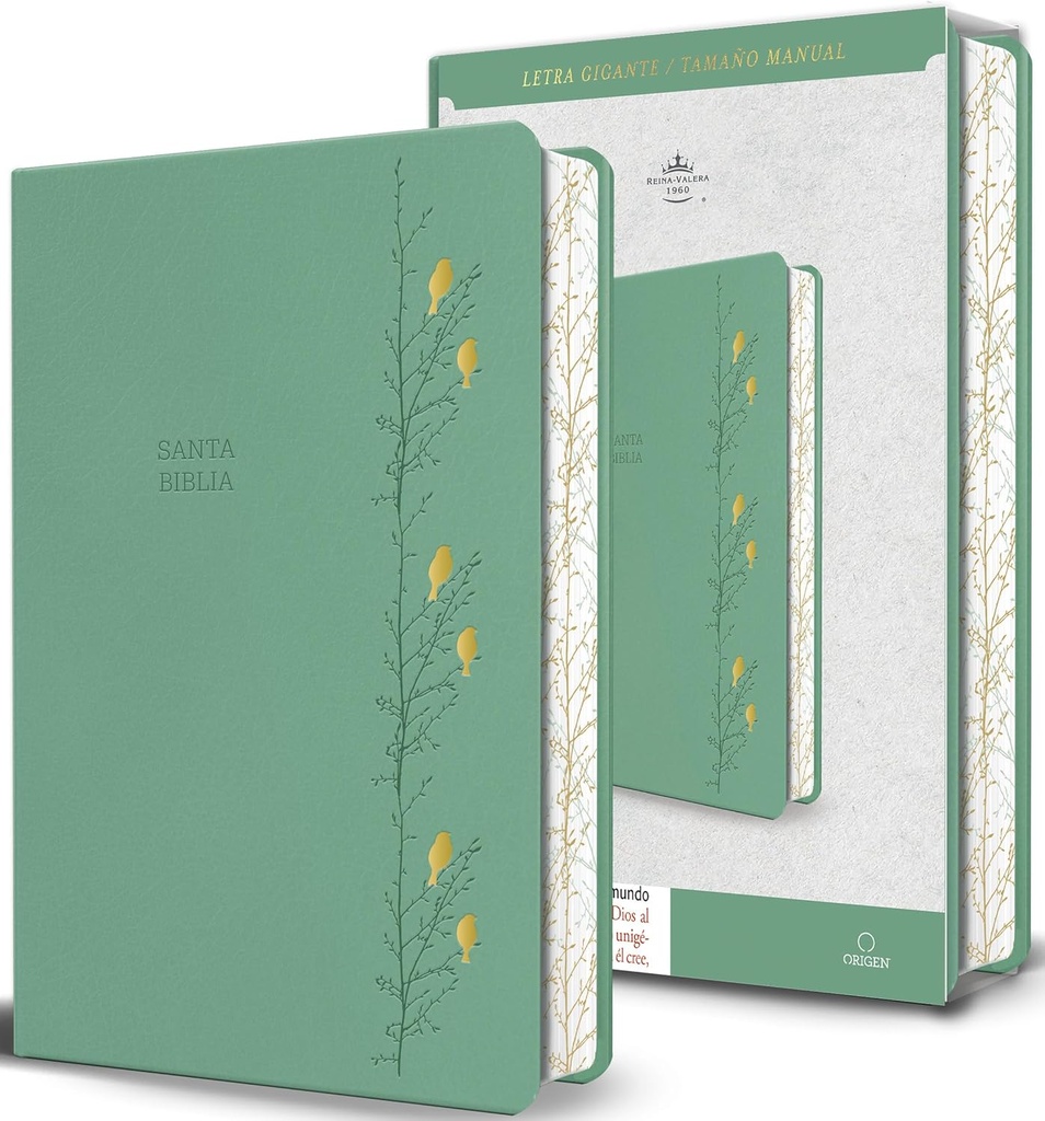 Biblia RVR60 Letra gigante verde con pájaros