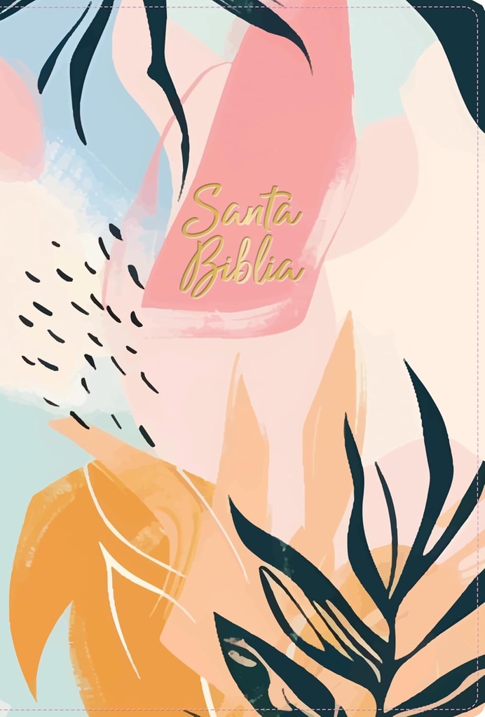 Biblia RVR1960 letra grande multicolor