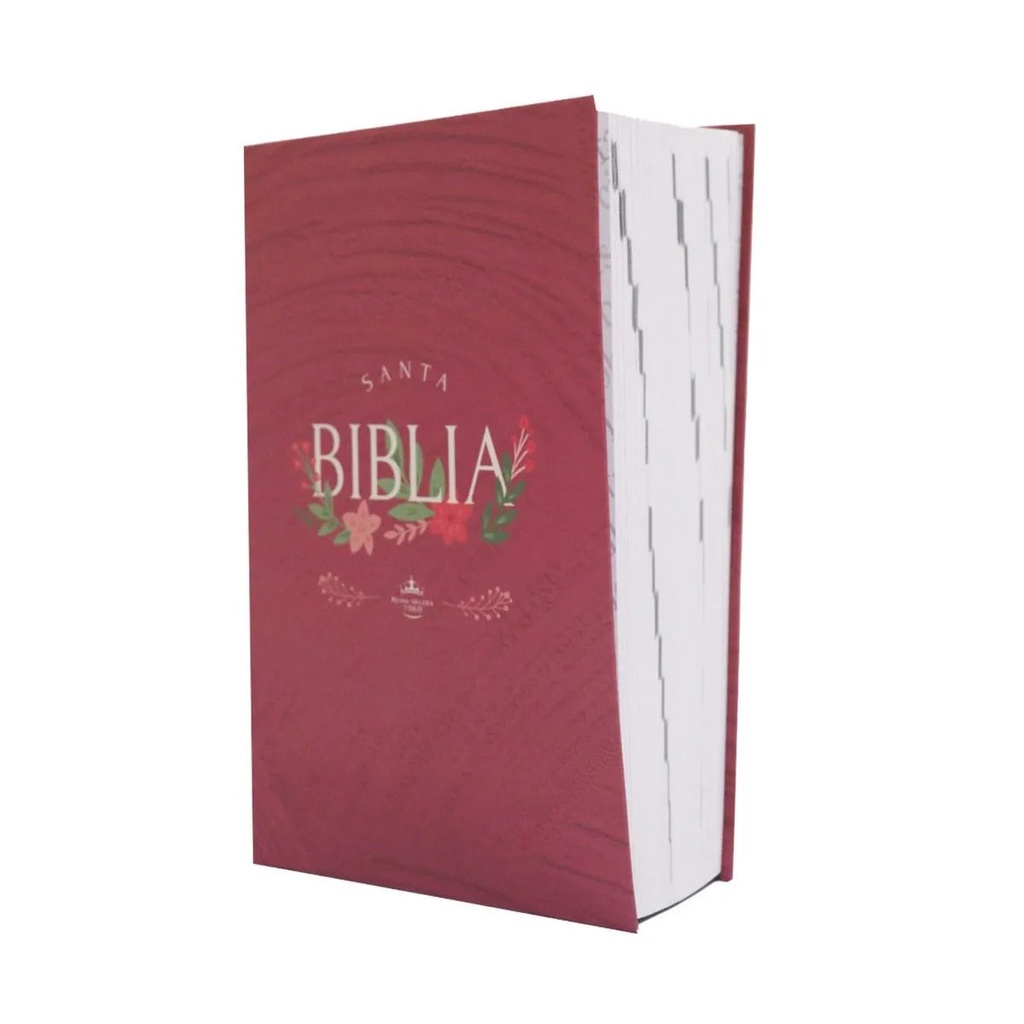 [SBM5874] Biblia RVR60 mediana letra grande rosa