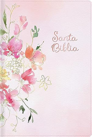 Biblia RVR60 letra grande