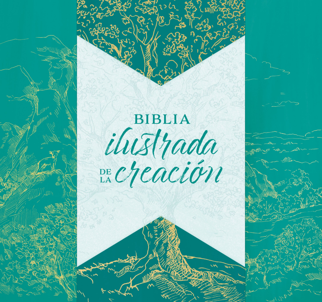 Biblia RVR60 Ilustrada De La Creación