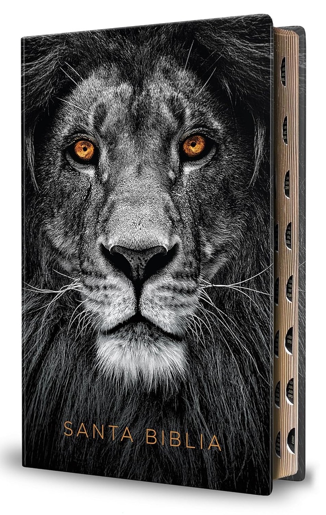 Biblia RVR60 León de Judá índice