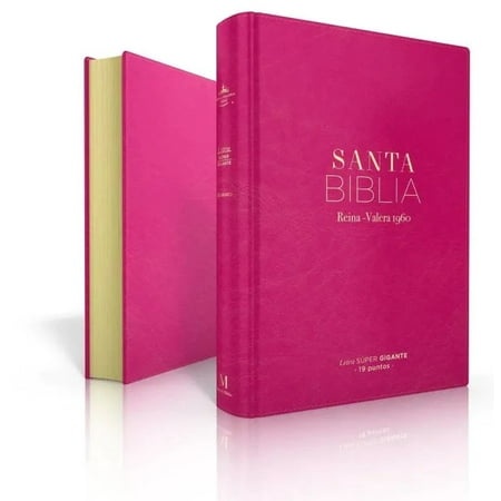 Biblia RVR60 Clásica fucsia