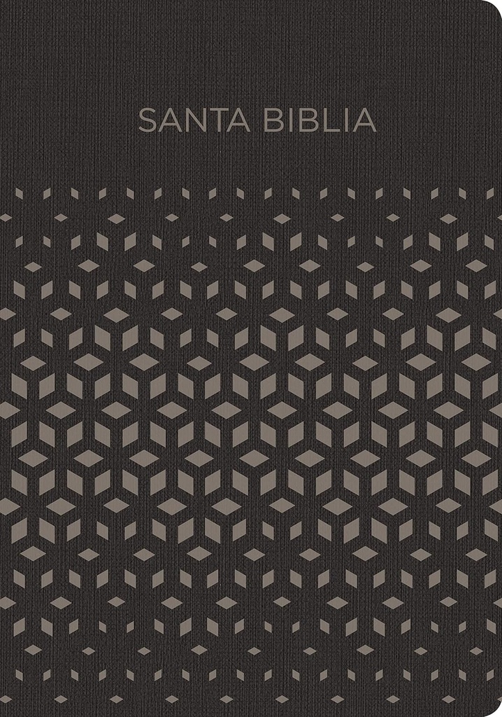 Biblia RVR60 Regalos y premios negro/plata