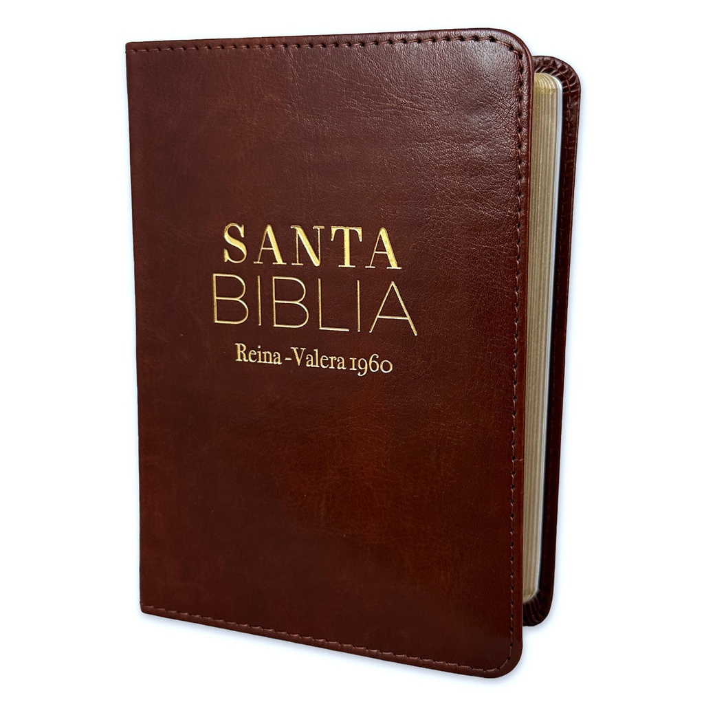 [ABU6277] Biblia RVR60 Clasica cafe