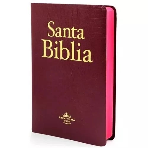 [SBM7603] Biblia mediana económica vino RVR60