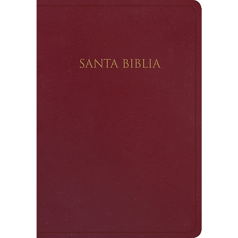 Biblia RVR60 Regalos y premios borgoña