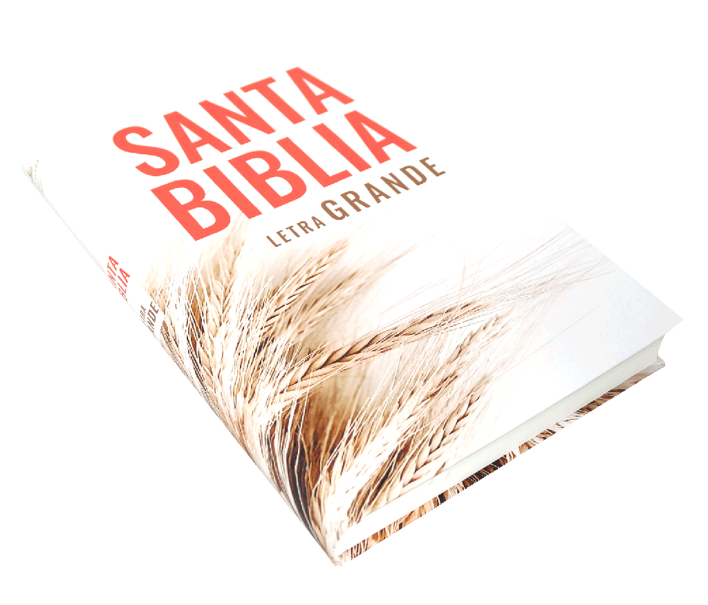 Biblia RVR60 letra grande tapa dura