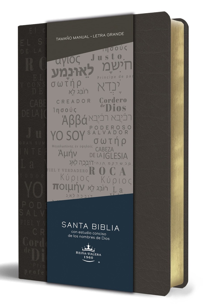 Biblia RVR60 Nombres de Dios Letra grande Gris