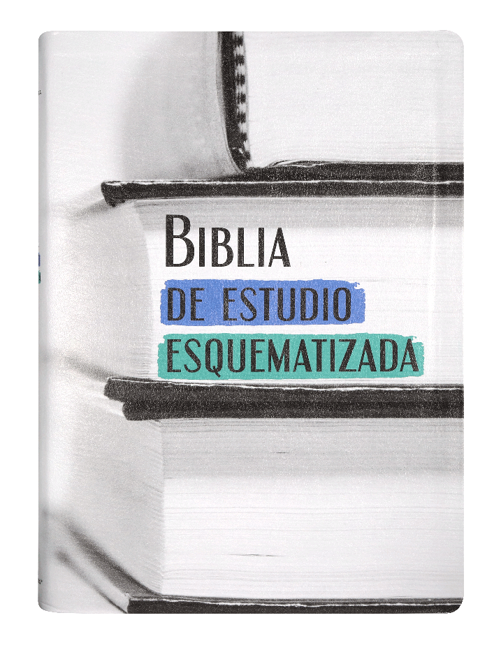 Biblia RVR60 Esquematizada imitación piel
