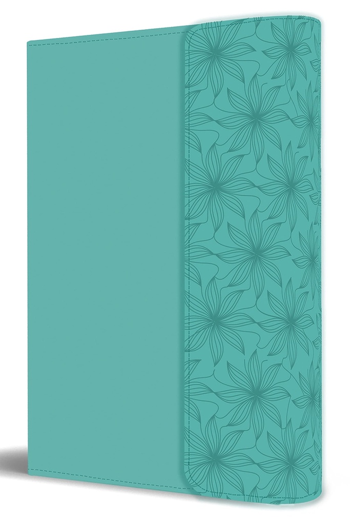 Biblia RVR1960 Letra grande aquamarina solapa e imán