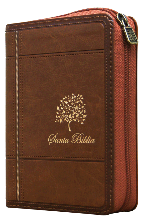 Biblia RVR60 bolsillo imt cafe