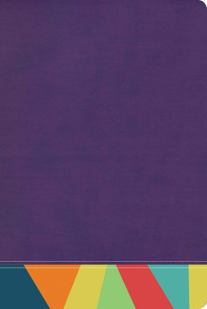 Biblia RVR60 de Estudio arco iris Morado Multicolor