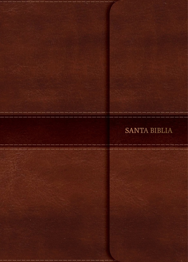 Biblia RVR60 Ref marrón imán