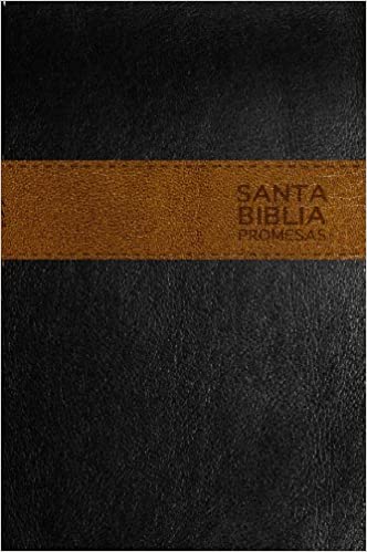 Biblia Promesas NTV
