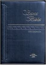 Biblia Vinil Azul RVR042C
