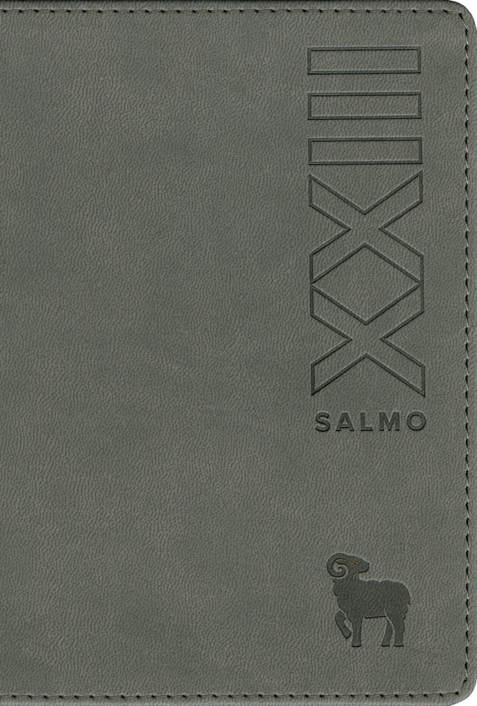 Biblia NTV Salmo 23 color gris/edición compacta