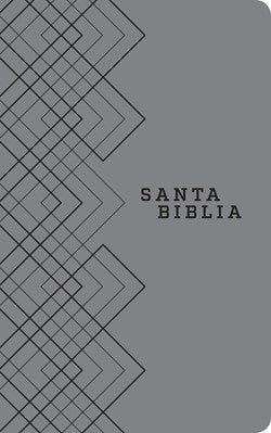 Biblia NTV agape gris