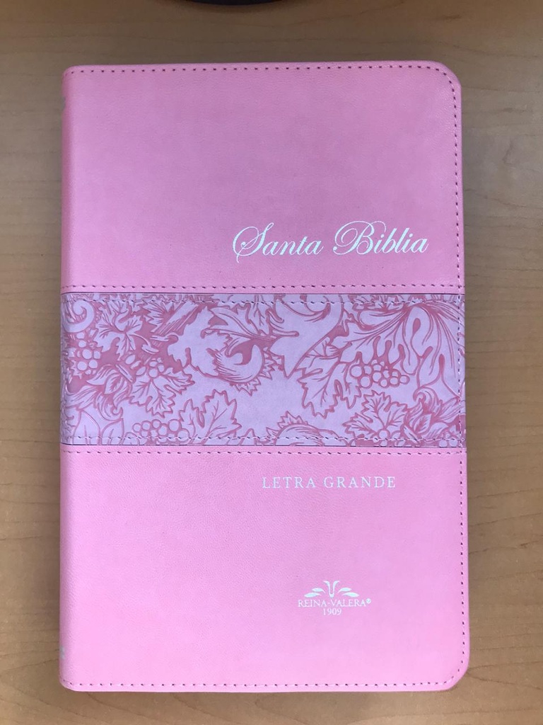 [SBM9845] Biblia RVR09 Letra Grande Rosa