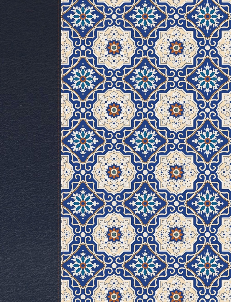 Biblia de Apuntes Crema y Azul RVR60