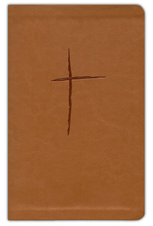 [HPN5456] Biblia Plenitud Manual Terracota RVR60